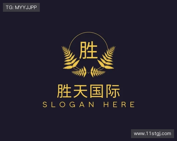 概览胜天国际